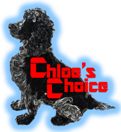 Chloe's Choice D.T.S