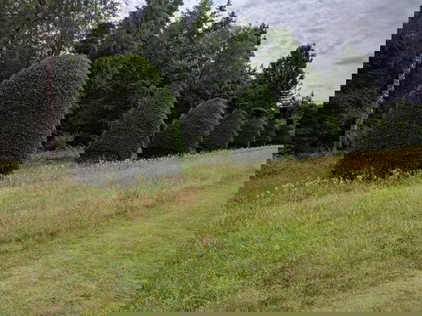 South Bend Tree Service