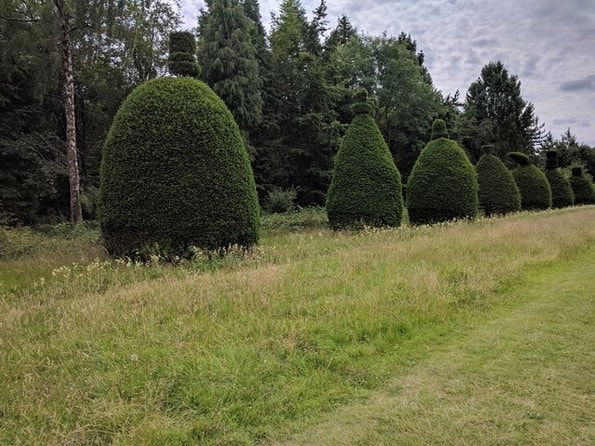 Tree Trimming