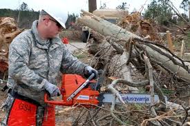 Stump Grinding and Fertilization