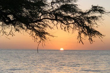 Camping In Hawaii – An Experience You Will Never Forget