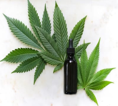 CBD Oil image