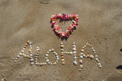 ALOHA PILATES image