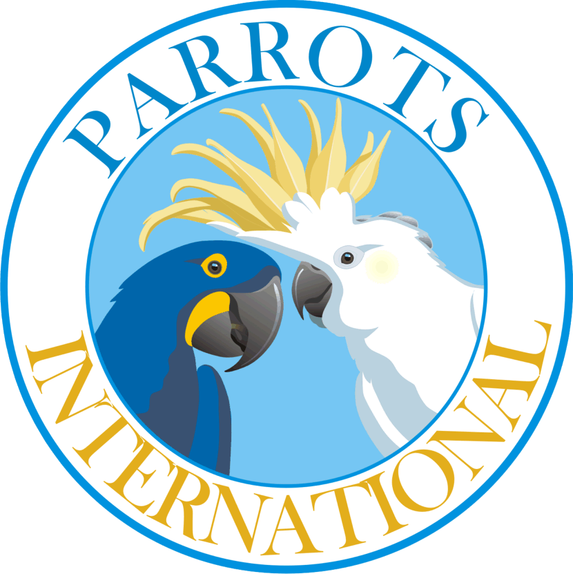MACAW PARROT