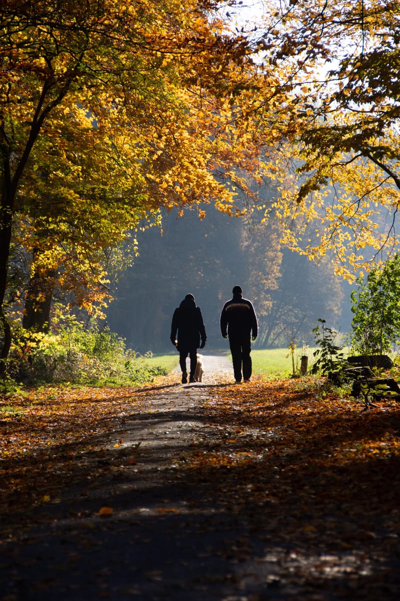 Walking Therapy