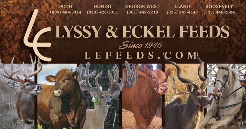 Lyssy & Eckel, Inc.