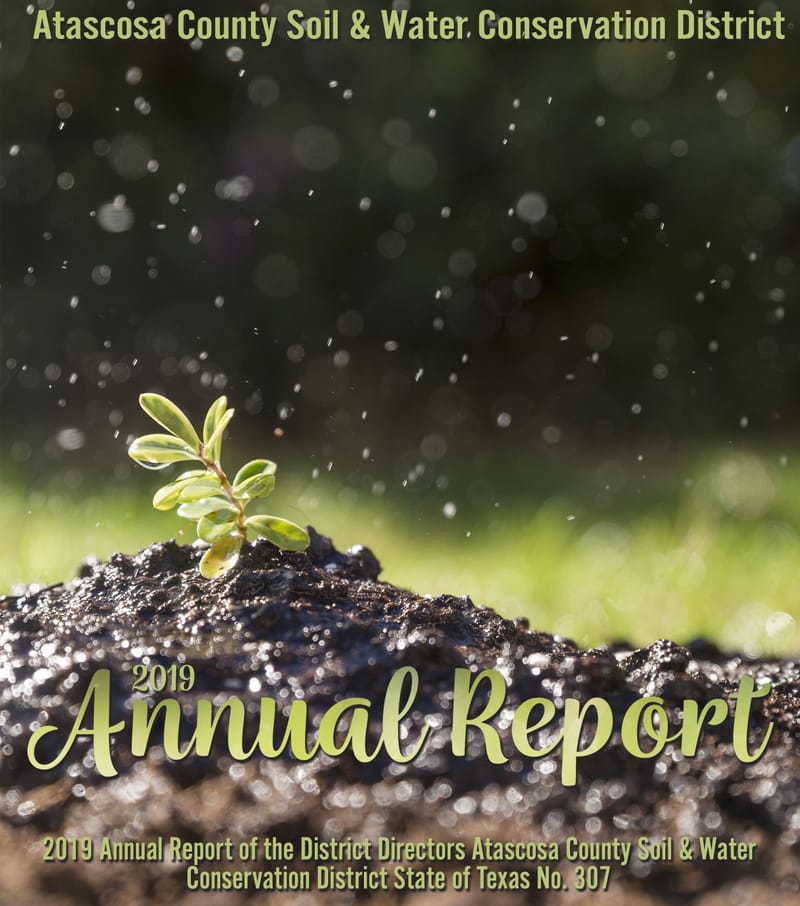 2019 Annual Report
