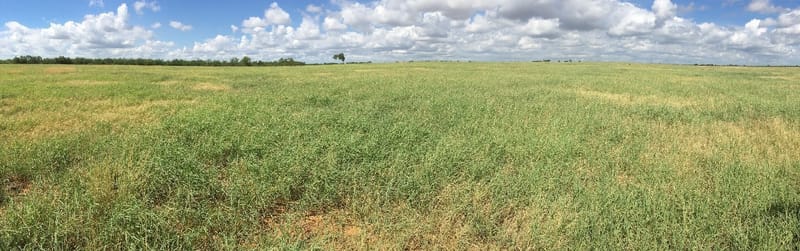 2019 Conservation Rancher of the Year