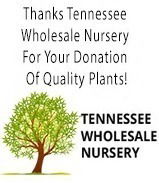 Tennessee Wholesale Nursery