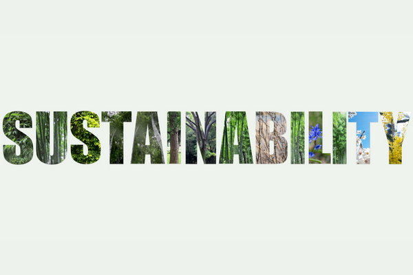 SUSTAINABILITY DIVISION