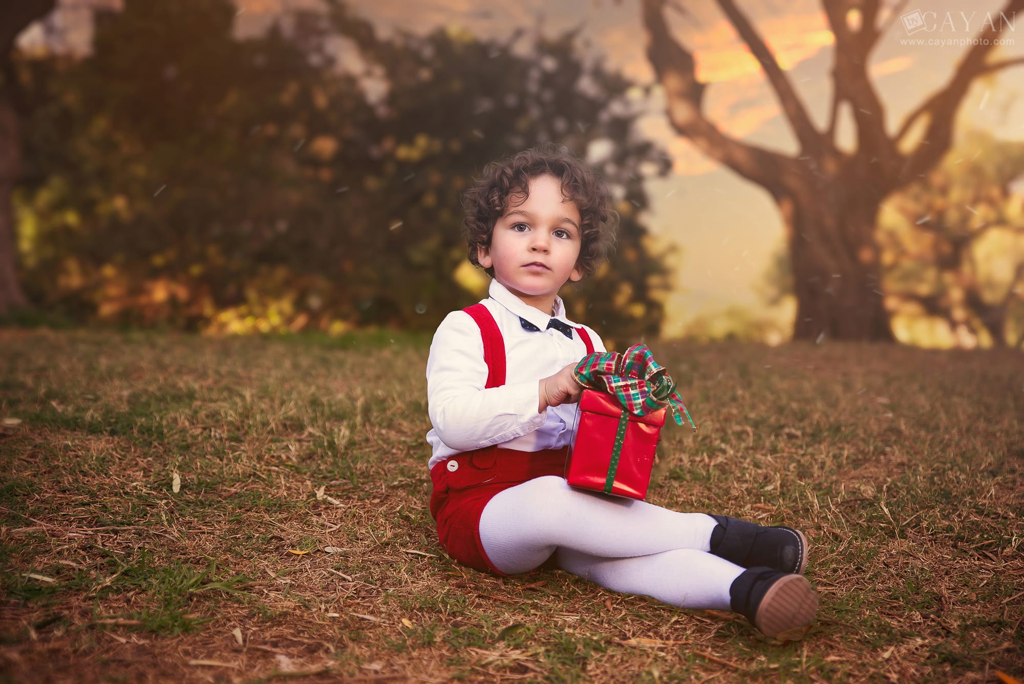 Con Neizan - @nereayneizan