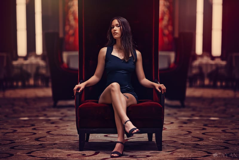 Perfect Storm - Michelle Harvey eres "The Perfect Chaos"