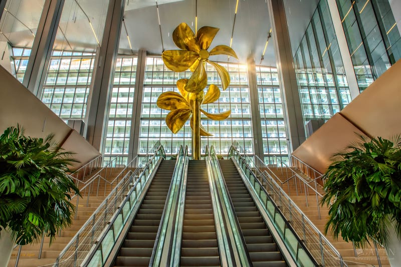 Trabajos previstos para locales comerciales, empresas y productos inmobiliarios.