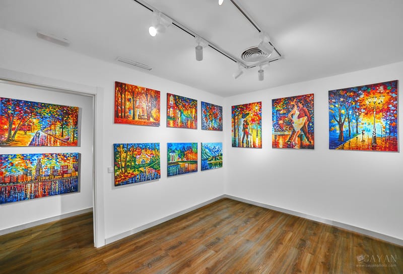 Material de inauguración y publicidad de la Galería de Arte Leonid Afremov