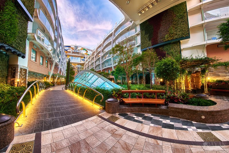 Material publicitario para el crucero Symphony of the Seas