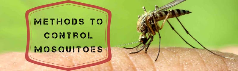 Use These Methods To Control Mosquitoes