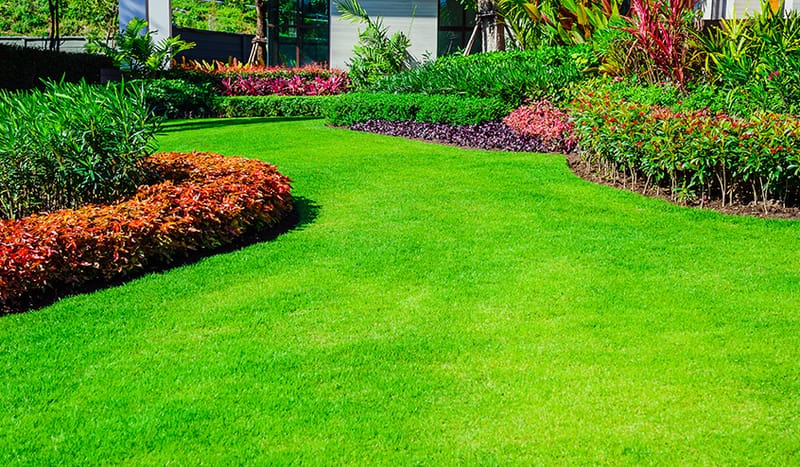 Landscaping services