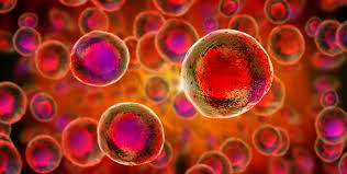 stemcelltreatment image
