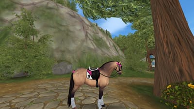 Co.Pferd image