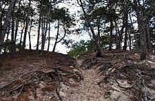 EFFACE Project Publishes Policy Briefs