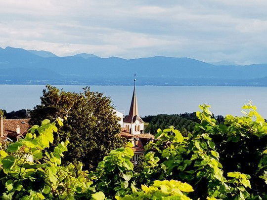 Le Canton de Vaud