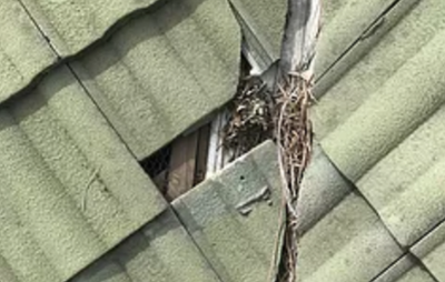 Leaking Roof Repairs Brisbane