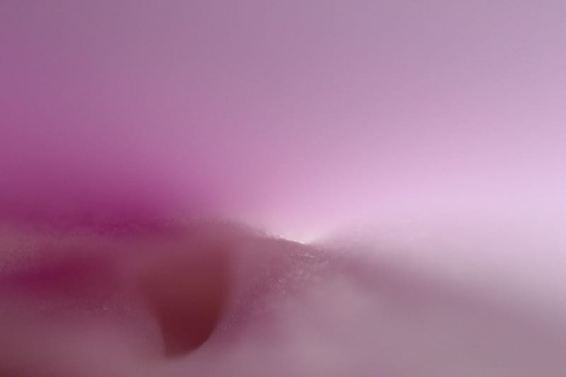 Framed Natural Photography Brings the Best Nature Photographs for You!