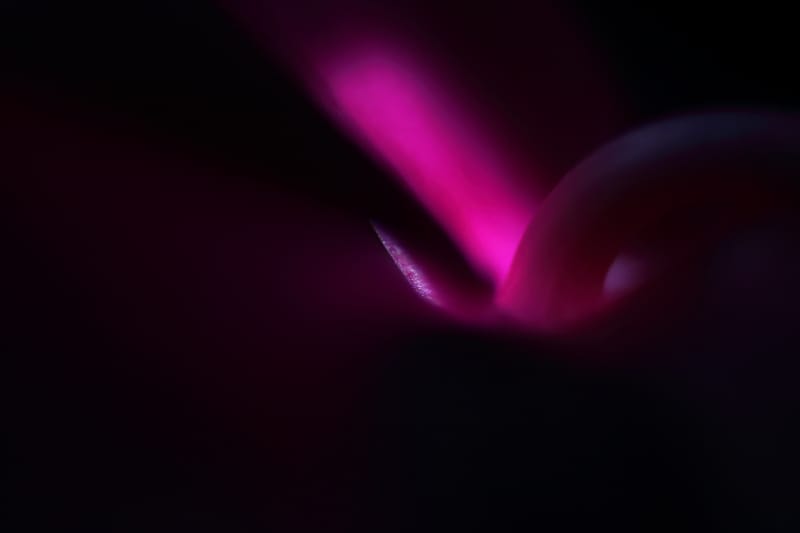 Distinctive Moments Photography – The Alluring Nature Photography