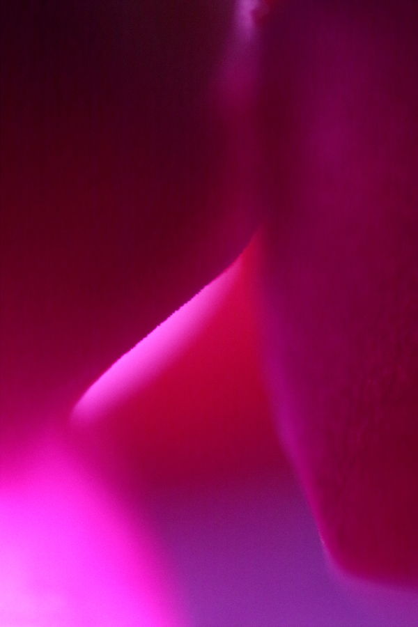 What You Need To Know About Honest Abstract Photography