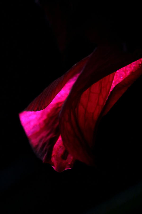 Challenging Abstract Photography Works are Created by Original Photographers!