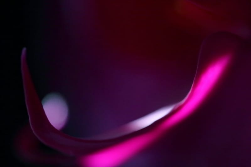 Fine Art Nature Abstract Photography – Taking The Perfect Shots