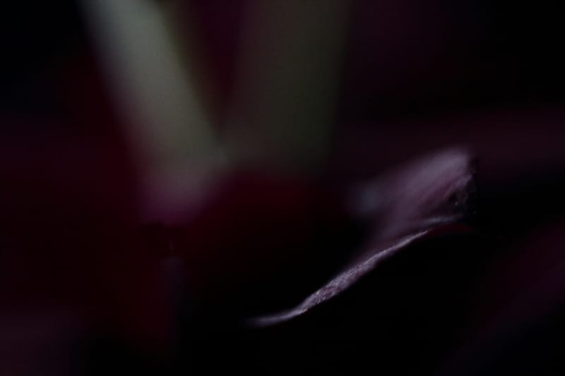 How fine art nature abstract photography make a difference in end results?