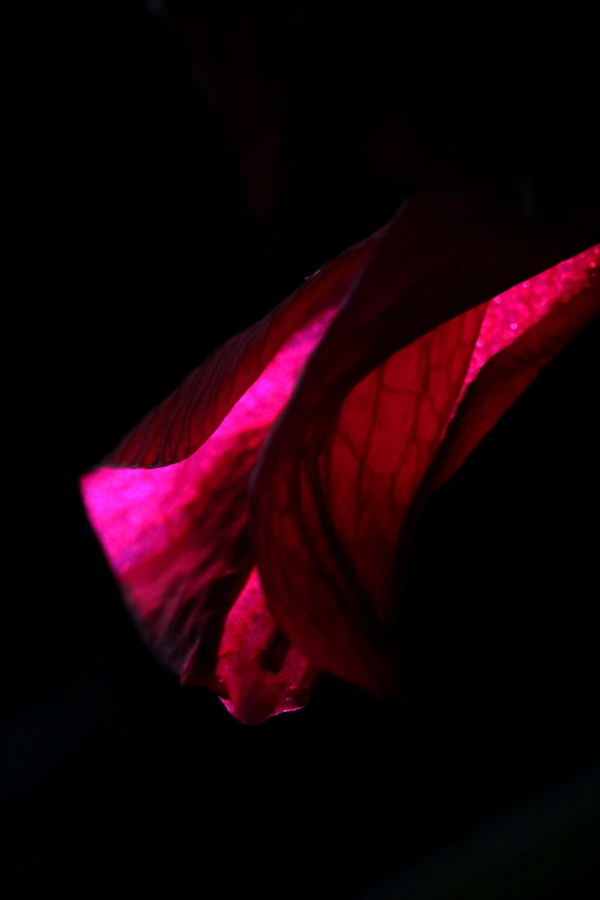 Challenging abstract photography probable issues and solutions