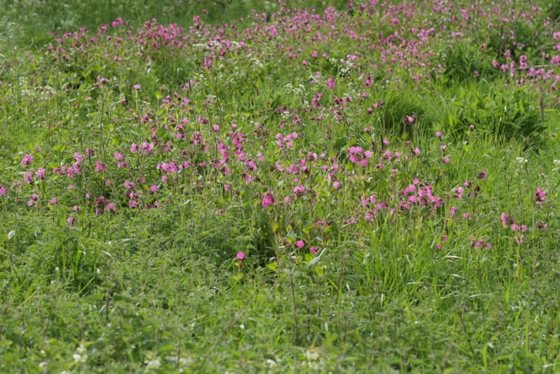 Superior Photographers Provide The Best Distinctive Nature Photography