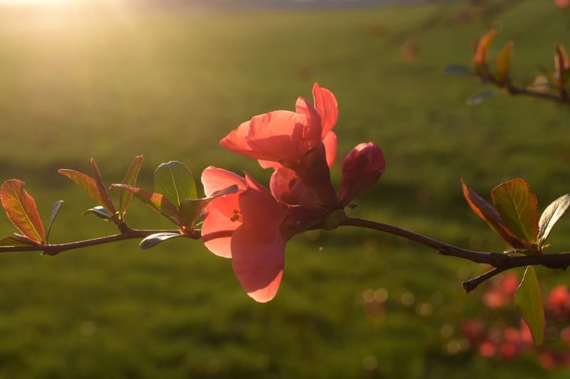 Top Reasons to go for challenging Abstract Photography!