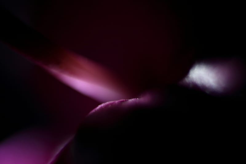 Why should I choose fine art nature abstract photography?