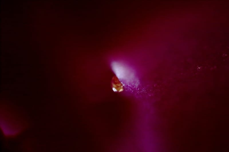 Top Reasons to choose fine art abstract photography