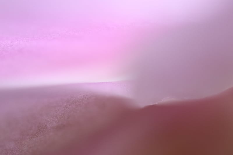 Why we should care for distinctive nature photography?