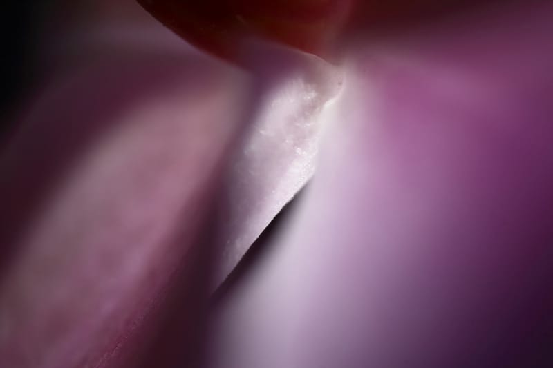 What makes nature abstract art prints different from other photographs?