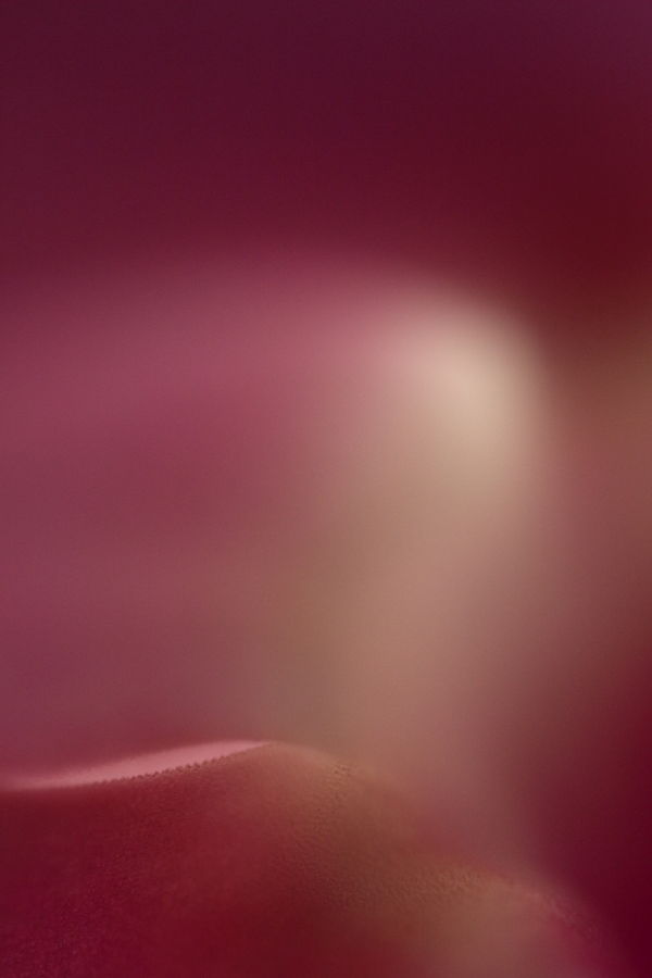 4 innovatory benefits of challenging abstract photography