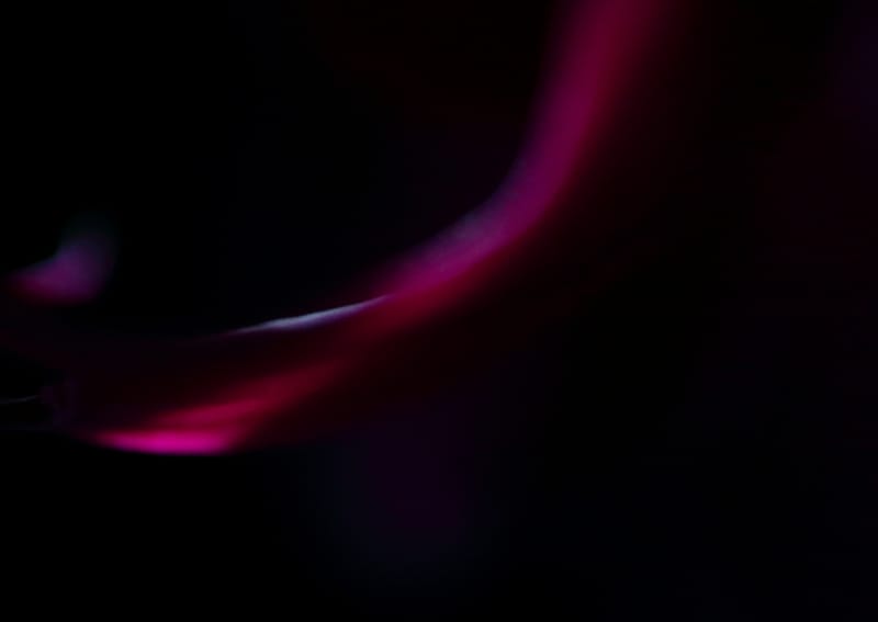 How efficient are Original nature photographers?