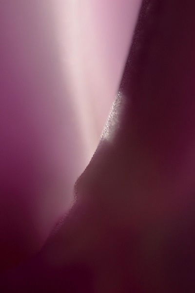 Why Choose Fine Art Abstract Photography?