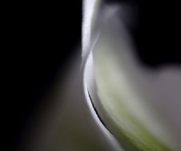 Why prefer Distinctive original art photography?