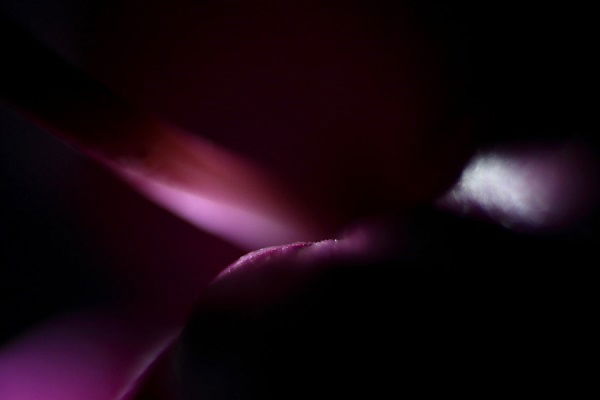 Why choose single-edition photographic prints?