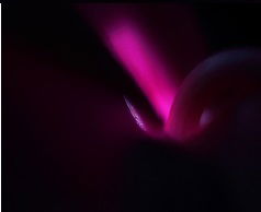 Why choose distinctive moments photography?