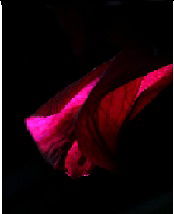 Why Choose Challenging Abstract Photography?