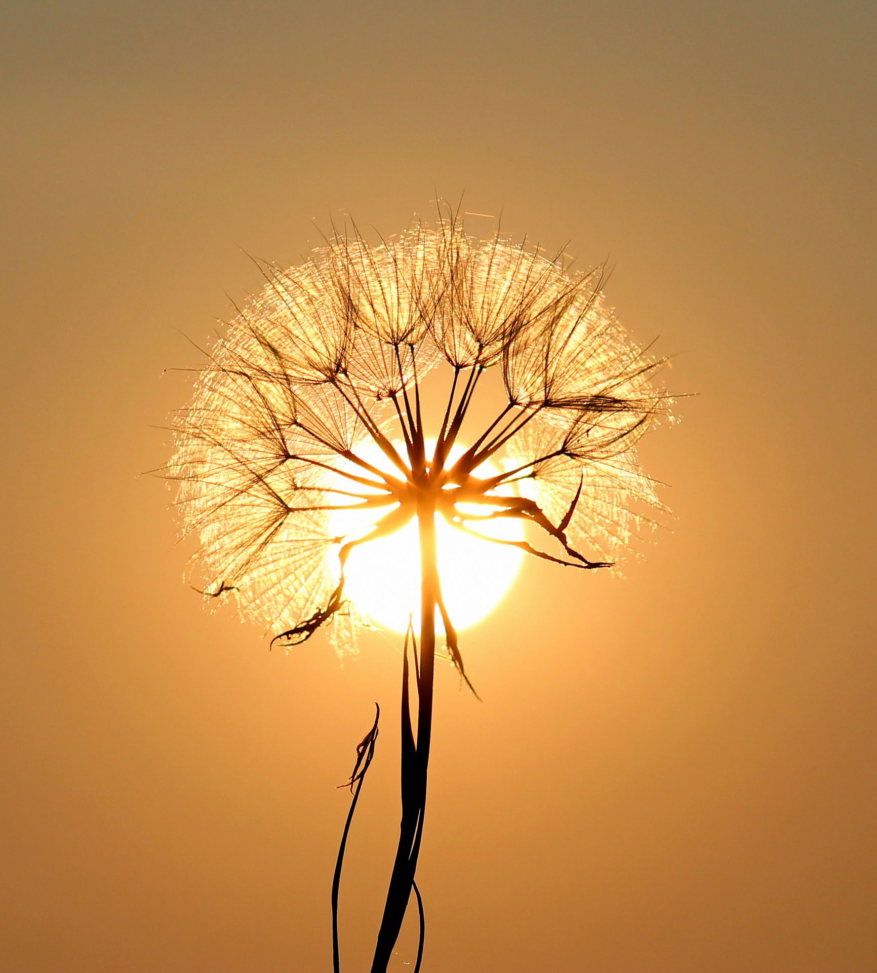 Soleil et peau