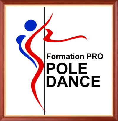 ACCEDER A LA FORMATION PROF DE POLE DANCE image