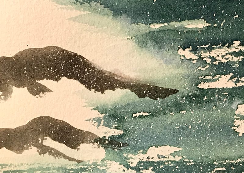 December 4, 2019 Working on waves!