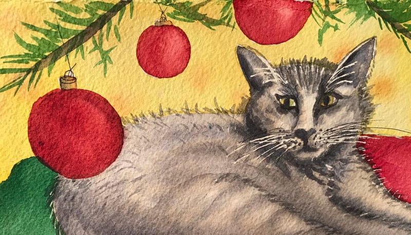 Luna Kitty at Christmas